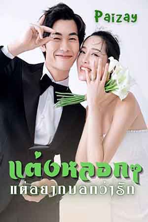 แต่งหลอกๆแต่อยากบอกว่ารัก