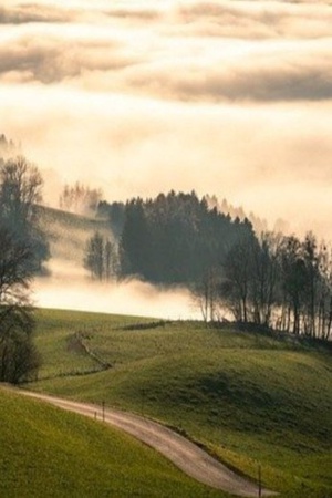 ชีวิตในสวนผัก