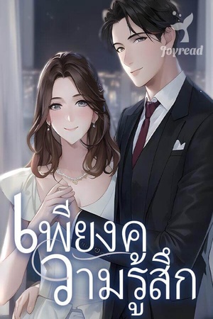 เพียงความรู้สึก