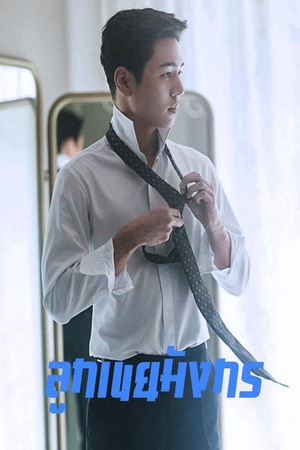 ลูกเขยมังกร